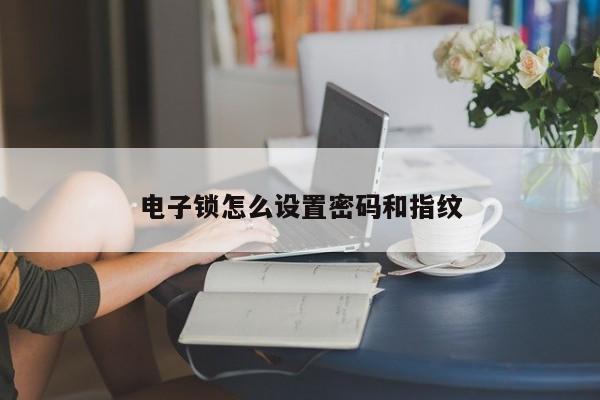 電子鎖怎么設(shè)置密碼和指紋