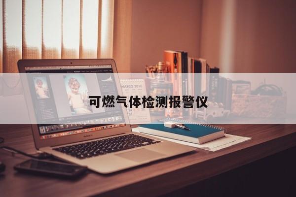 可燃氣體檢測報警儀