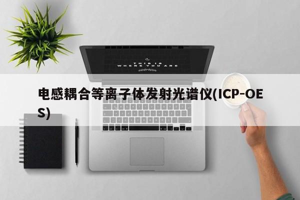 電感耦合等離子體發(fā)射光譜儀(ICP-OES)