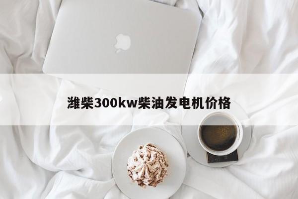 濰柴300kw柴油發(fā)電機價格